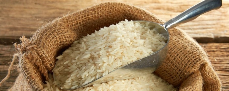 大米批发价多少钱一斤（大米价格多少钱一斤批发市场）