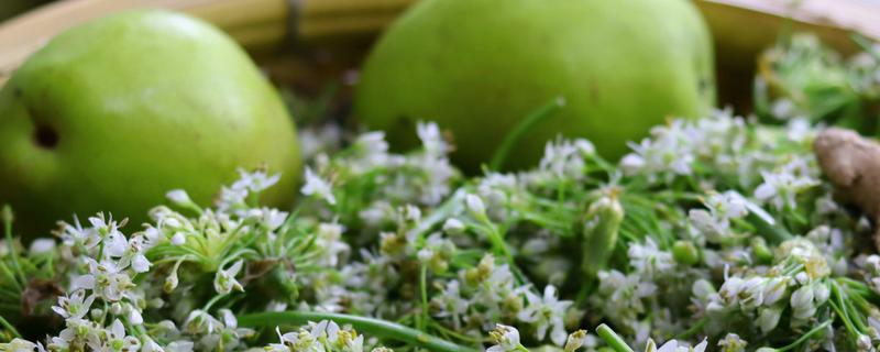 老了的韭菜花可以腌制吗，附韭菜花酱的制作方法