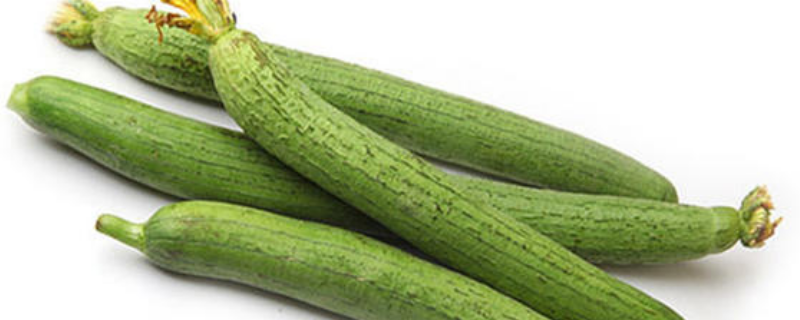 丝瓜可以生吃吗，丝瓜的做法有哪些 能生吃的丝瓜凉拌丝瓜怎么做的