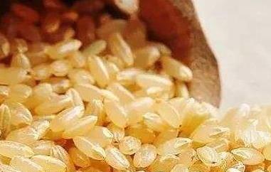 糙米怎么吃好 糙米怎么吃好吃又减肥