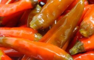 辣椒泡菜的腌制方法和配料 腌辣椒泡菜怎么腌