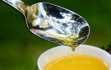 绿茶籽油的功效与作用 喝绿茶籽油的好处有哪些