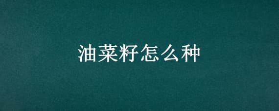 油菜籽怎么种 油菜籽怎么种植方法