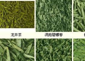 茶叶的分类和品种基本知识（茶叶种类划分）