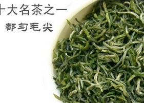 毛尖新茶知识介绍（毛尖新茶知识介绍怎么写）