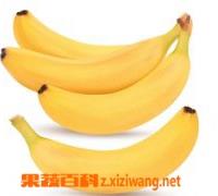 香蕉皮的功效与作用 香蕉皮的功效与作用点