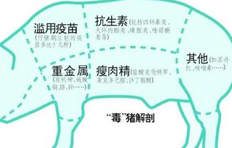 猪饲料中添加瘦肉精的危害 猪饲料中添加瘦肉精的危害是什么