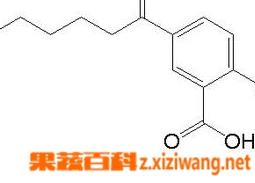 水杨酸是什么（水杨酸是什么颜色）