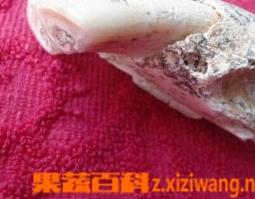 龙齿的功效与作用简介 龙齿的功效与作用简介视频