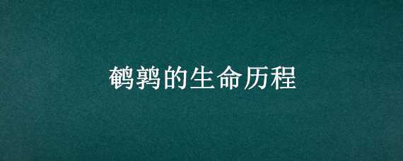 鹌鹑的生命历程 鹌鹑的生命历程视频