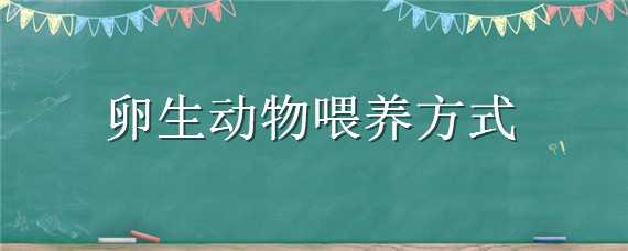 卵生动物喂养方式（卵生动物喂养方式是什么）