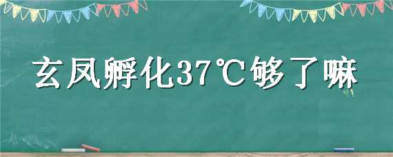 玄凤孵化37℃够了嘛 玄凤孵化要注意什么