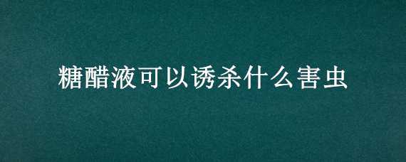 糖醋液可以诱杀什么害虫（糖醋液真的可以杀虫吗）