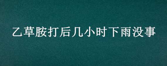 乙草胺打后几小时下雨没事 打乙草胺一小时就下雨了有效吗