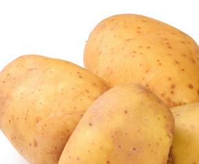 土豆能养胃吗 炖土豆养胃吗