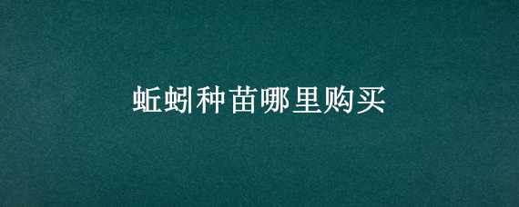 蚯蚓种苗哪里购买 蚯蚓种苗哪里有