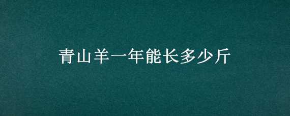 青山羊一年能长多少斤 青山羊一年能长多少斤毛