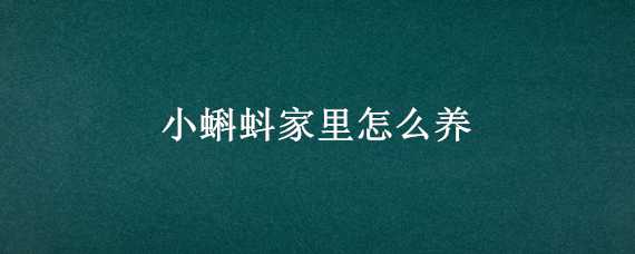 小蝌蚪家里怎么养（小蝌蚪家里怎么养的）