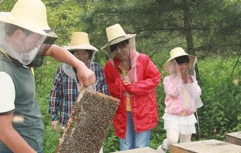 夏季养蜂注意事项（秋季养蜂注意事项）