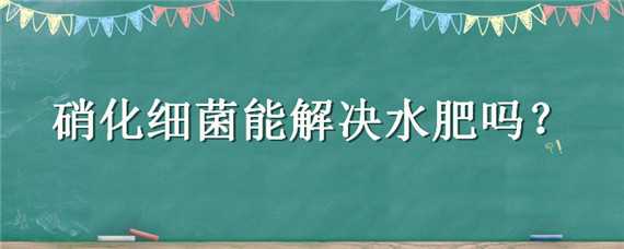 硝化细菌能解决水肥吗 硝化细菌会导致水体过肥吗