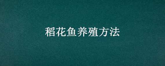 稻花鱼养殖方法 稻花鱼的养殖技术