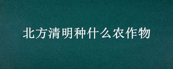 北方清明种什么农作物（北方清明种什么农作物最好）