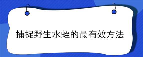 捕捉野生水蛭的最有效方法（野生水蛭捕捞方法）