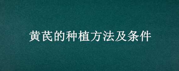 黄芪的种植方法及条件 黄芪的种植方法及条件视频