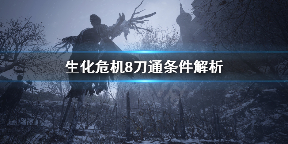 生化危机8为什么刀通不给成就 生化危机8刀通成就