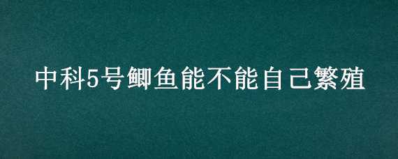 中科5号鲫鱼能不能自己繁殖（中科5号鲫鱼苗怎么养）