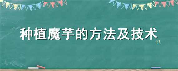 魔芋种植技术要点 种植魔芋的技术与方法