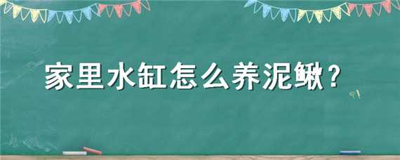 家里水缸怎么养泥鳅（家里水缸怎么养泥鳅鱼）