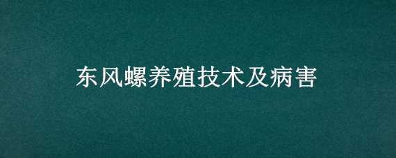 东风螺养殖技术及病害 东风螺养殖技术防治