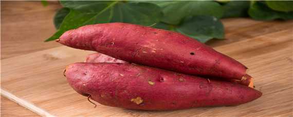 红薯用什么复合肥高产（种红薯用复合肥好吗）