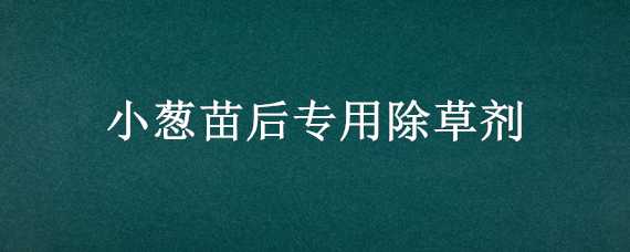 小葱苗后专用除草剂（小葱苗能打除草剂吗）