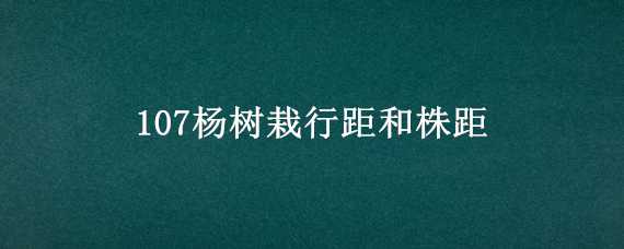 107杨树栽行距和株距（杨树株行距多少合适）