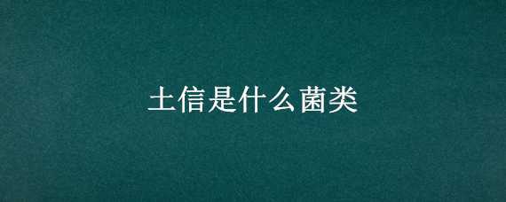 土信是什么菌类（背土菌和石灰菌的区别）