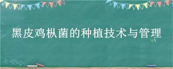 黑皮鸡枞菌种植栽培技术 黑皮鸡枞菌种植栽培技术与配料