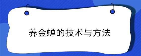 养金蝉的技术与方法 如何养金蝉技术