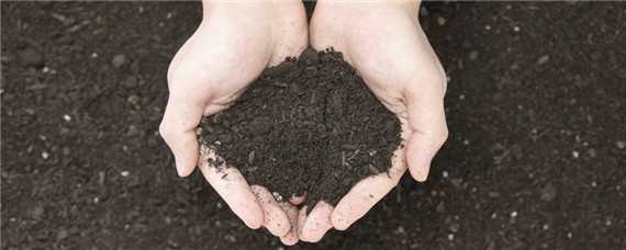 菌肥的作用和功能 菌肥的作用是什么