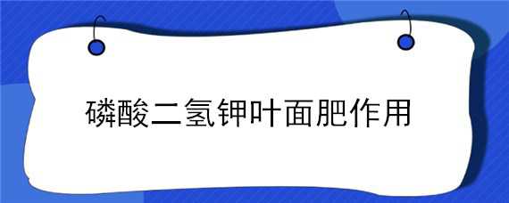 磷酸二氢钾叶面肥作用（磷酸二氢钾叶面肥作用和使用方法）