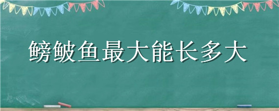 鳑鲏鱼最大能长多大 鮸鱼能长多大