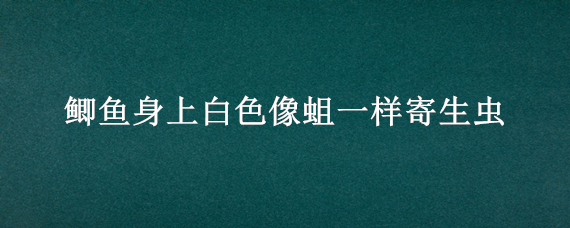 鲫鱼身上白色像蛆一样寄生虫 鲫鱼身上白色的寄生虫