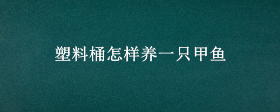 塑料桶怎样养一只甲鱼（塑料桶养甲鱼的方法）