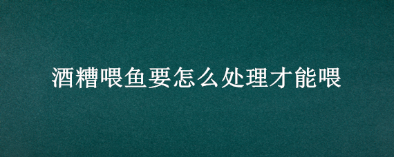 酒糟喂鱼要怎么处理才能喂 酒糟喂鱼要注意什么