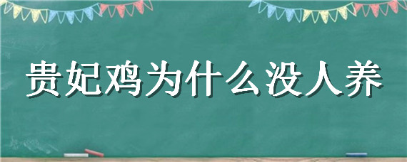 贵妃鸡为什么没人养 贵妃鸡怎么养殖