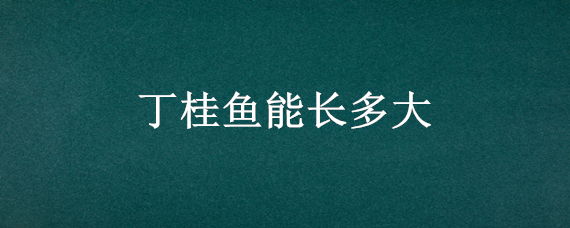 丁桂鱼能长多大 丁桂鱼生长速度