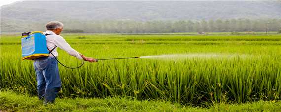 预防农药污染的主要措施 预防农药污染的主要措施是