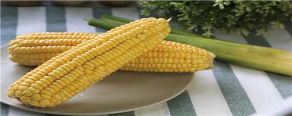 迪卡2188玉米种子积温多少 迪卡2218玉米种