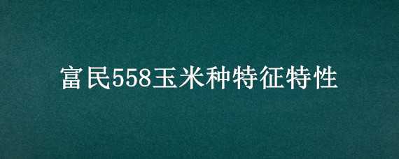 富民558玉米种特征特性 富民558玉米种子简介